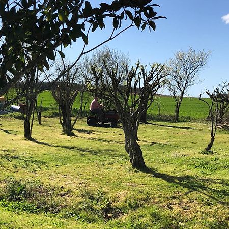 Les Geais Bed and Breakfast Saint-Pierre-la-Noue Εξωτερικό φωτογραφία