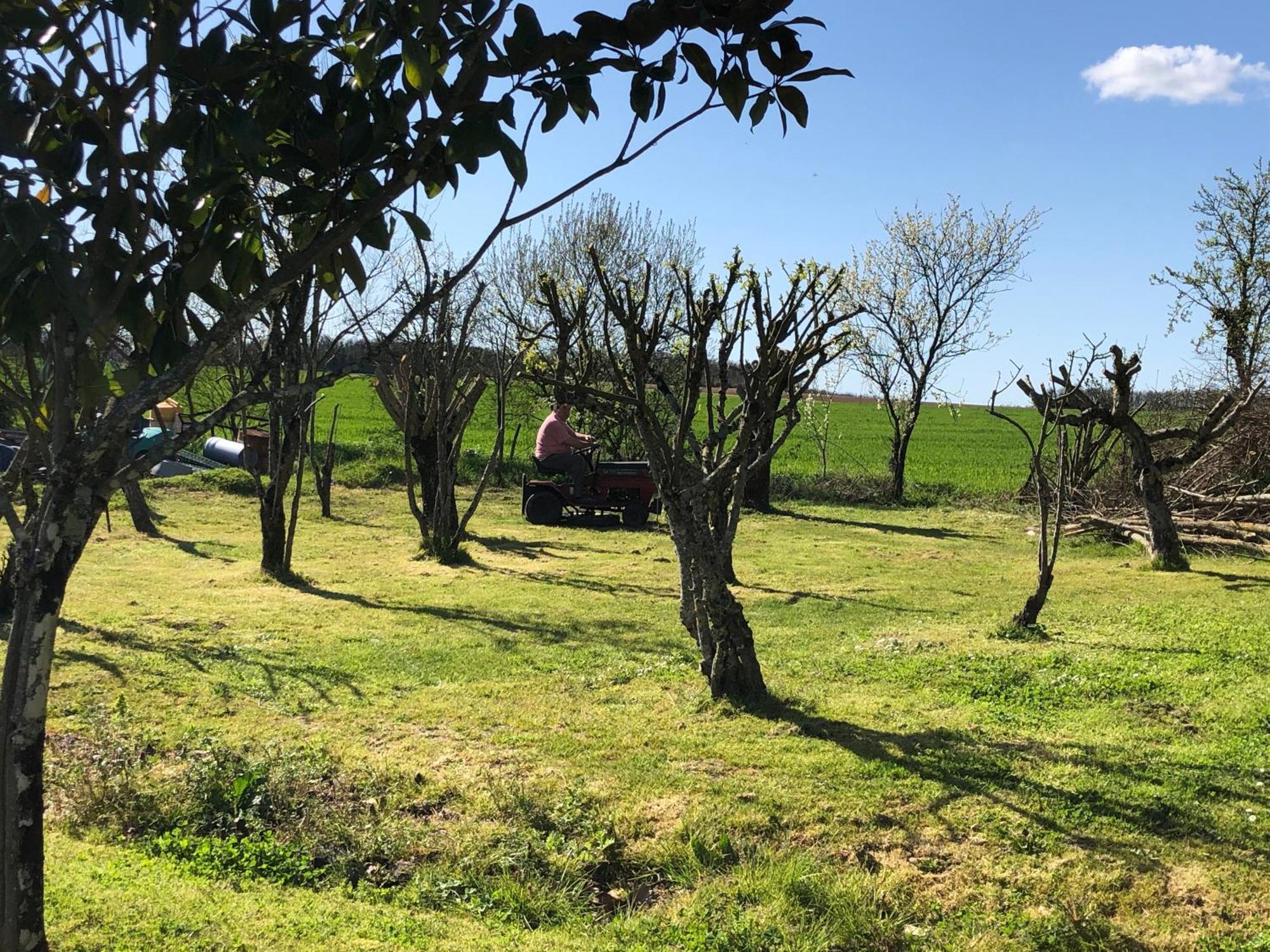 Les Geais Bed and Breakfast Saint-Pierre-la-Noue Εξωτερικό φωτογραφία